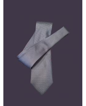 Cravatta Grigia